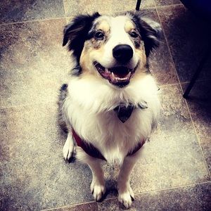 Meet your Posher, Connor